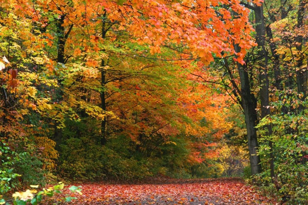 Nature at it's Finest